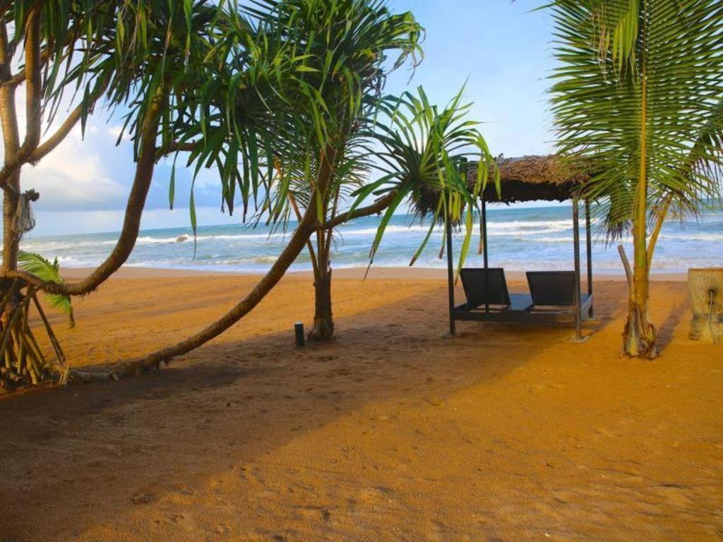 Whispering Palms Hotel Bentota Dış mekan fotoğraf